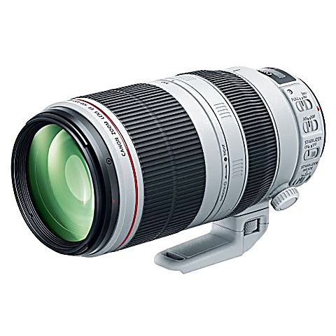 LFH - Canon EF 100-400mm f/4.5-5.6 L IS II USM