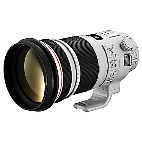 LFH - Canon EF 300mm f/2.8 L IS II USM