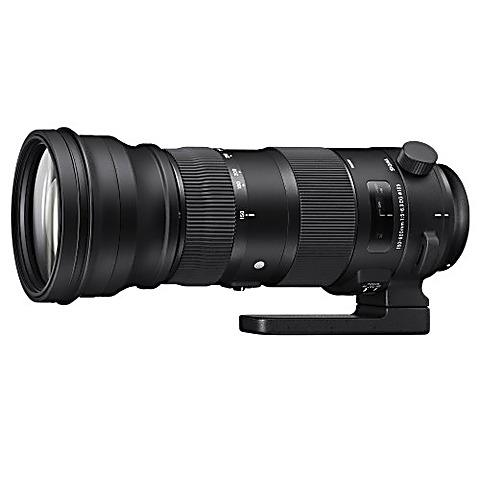 SIGMA150-600 F5-6.3 DG OS HSM CanonEF用 150-600mm F5-6.3 DG OS HSM | C - SIGMA UK