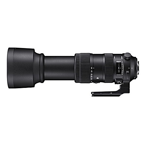 LFH - Sigma (Nikon fit) 60-600mm f/4.5-6.3 DG OS HSM Sports