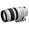 Picture of X Canon EF 100-400mm f/4.5-5.6 L IS USM