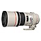 Picture of Canon EF 300mm f/4 L IS USM